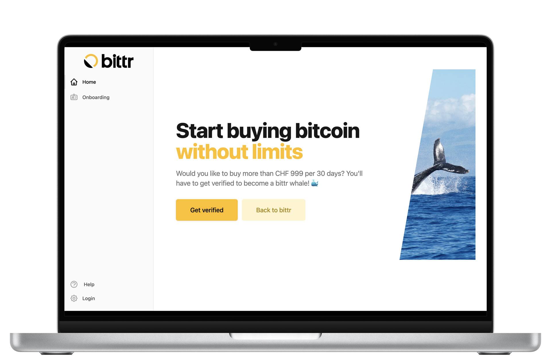 Bittr Whales Screenshot