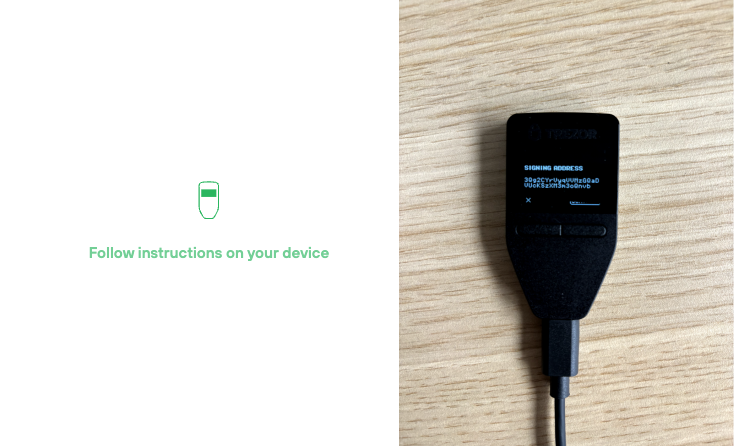 Signiere schließlich die Nachricht direkt auf deinem Trezor